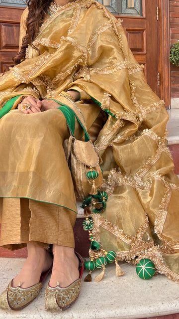 The Roshni Bano ( set of 4 )