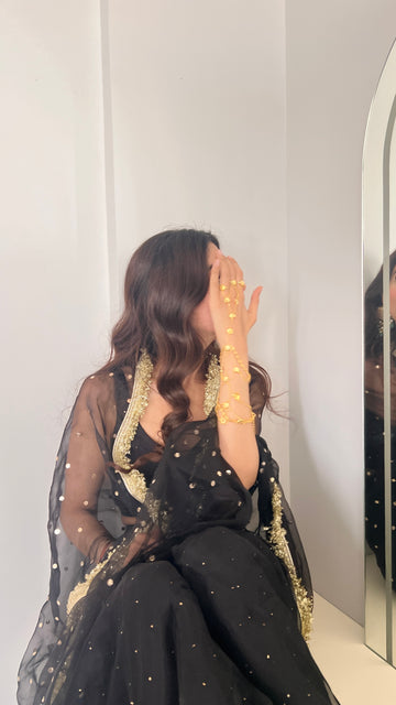 Sitara e Noor